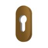 Pluton ajtórozetta GOLD