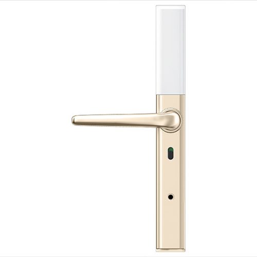 Protini DH1 Okos kilincs arany/fehér